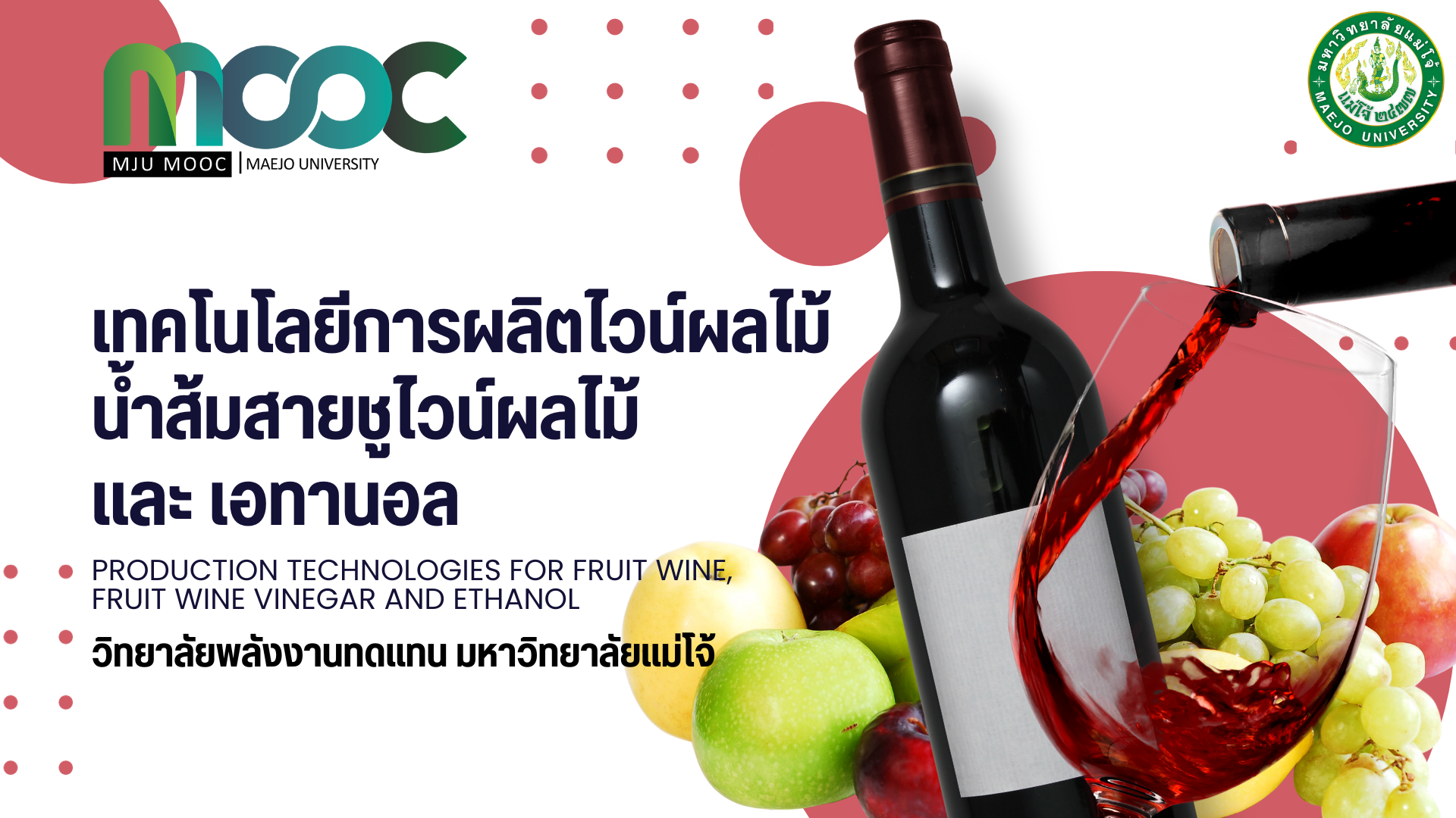เทคโนโลยีการผลิตไวน์ไวน์ผลไม้น้ำส้มสายชูและเอทานอล